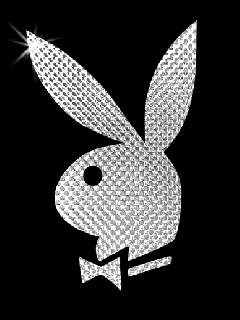 playboy